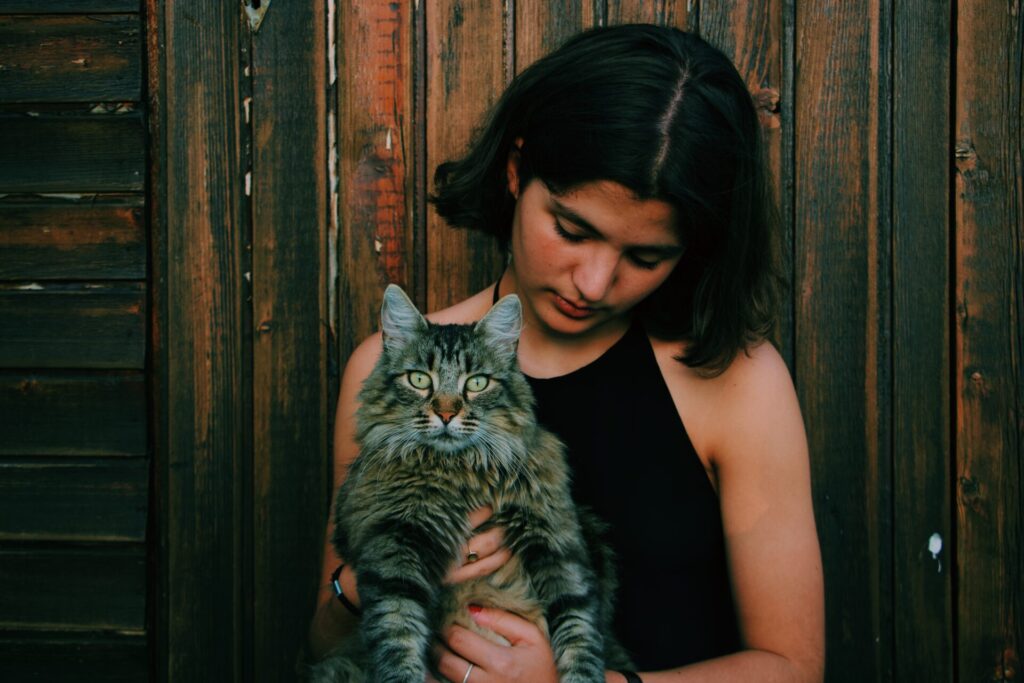 Young girl holding a gray and black striped Main Coon cat on her lap